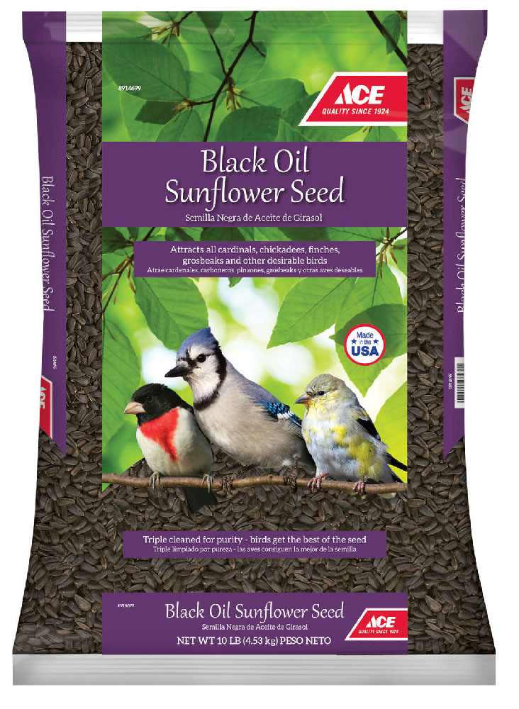 Black Oil Sunflower Seed thumbnail